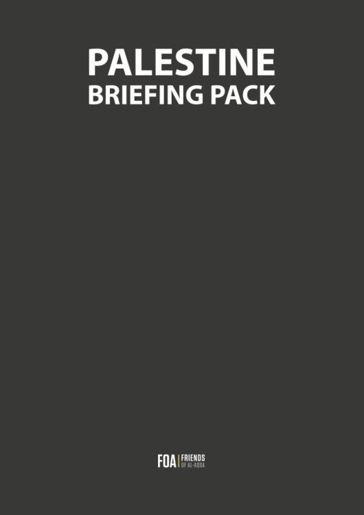 Palestine Briefing Pack