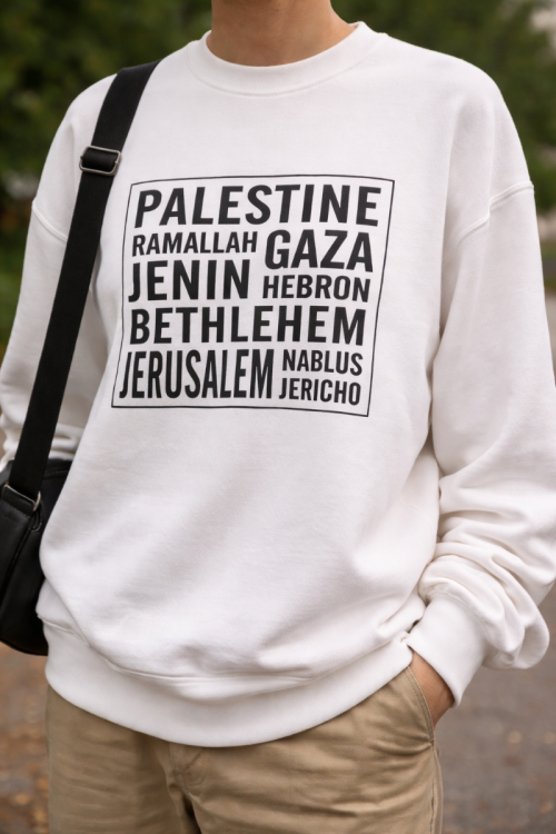 Palestine Cities - Adult Jumper