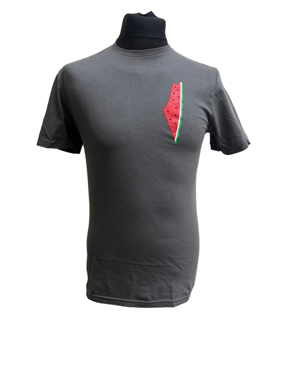 Palestine Watermelon Adult T-Shirt-Grey-Small