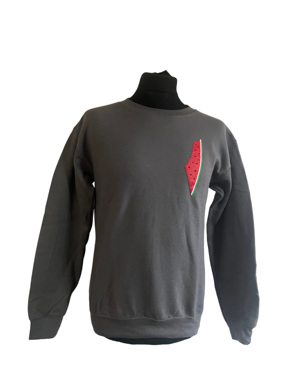 Watermelon Map - Adult Jumper-Grey-Small