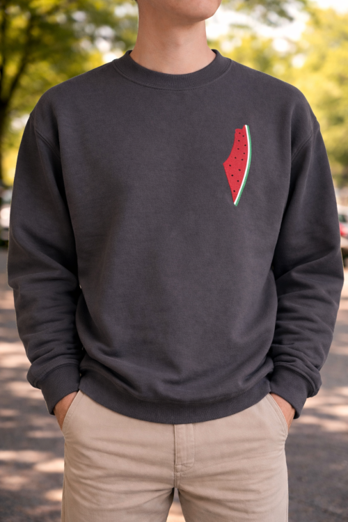 Watermelon Map - Adult Jumper-Grey-Large