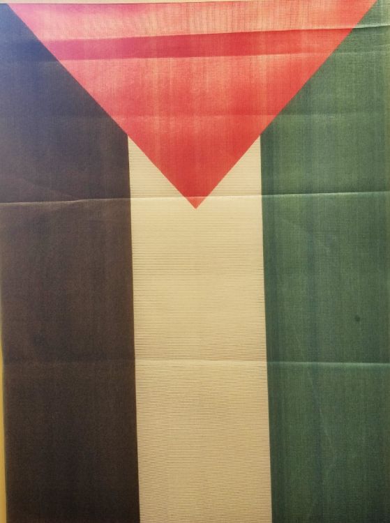 Palestine Flag 60cm x 45cm